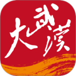 大武汉官网版下载_大武汉最新版下载v7.6.2_大武汉官网下载安卓版