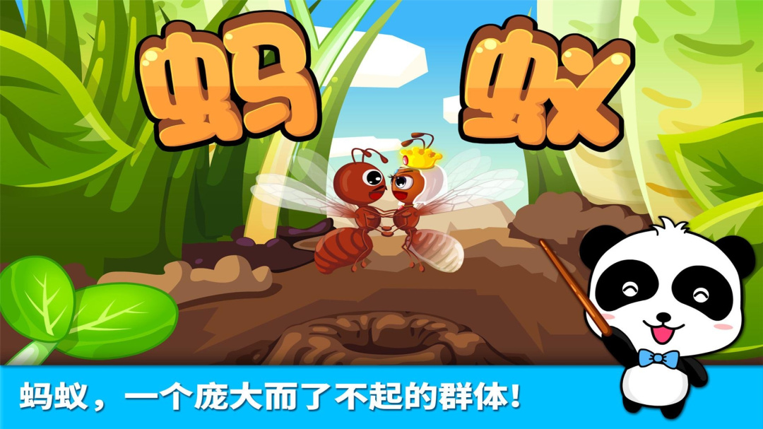 宝宝认蚂蚁app下载_宝宝认蚂蚁儿童早教助手安卓版下载v9.86.00.00 运行截图5