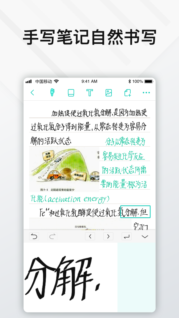 Elfinbook易飞app下载安装 Elfinbook易飞（办公学习助手）安卓版下载v4.6.0 运行截图3