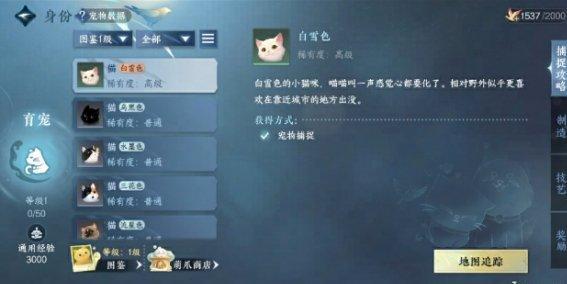 逆水寒手游育宠师玩法介绍