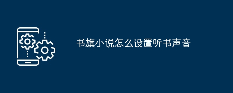 书旗小说听书设置详解