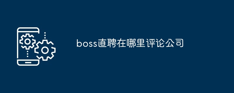 Boss直聘评论公司示例