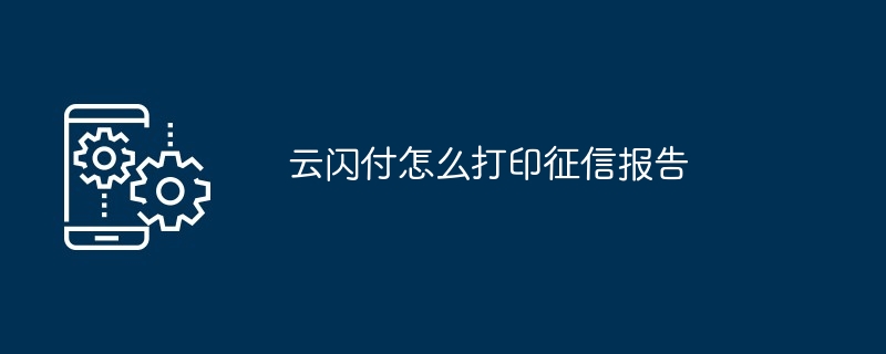 征信报告查询示例