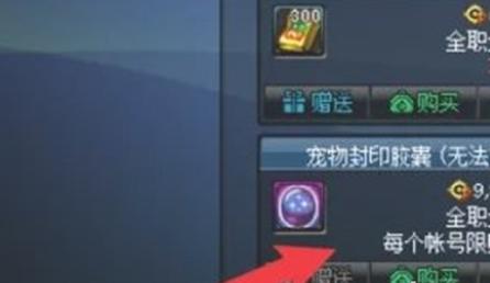 宠物封印操作示例