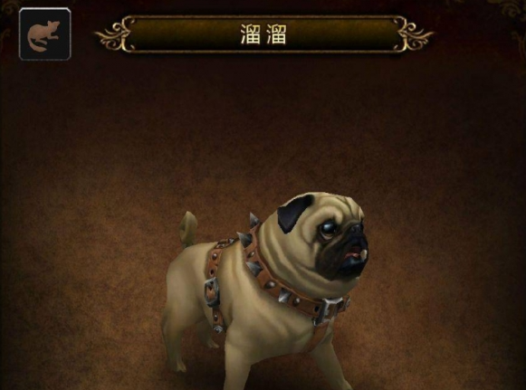 魔兽世界宠物溜溜获得