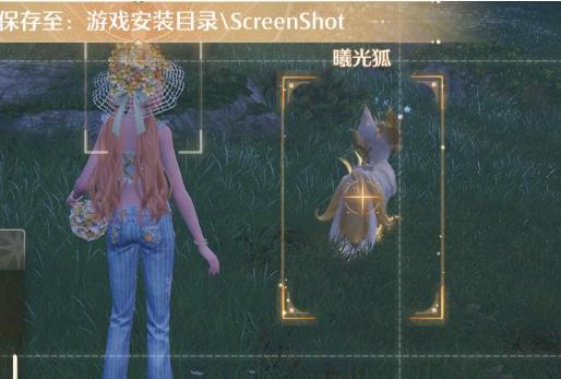 清洁曦光狐获取毛团