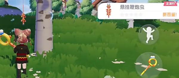 悬挂鞭炮虫位置