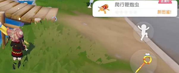 爬行鞭炮虫位置