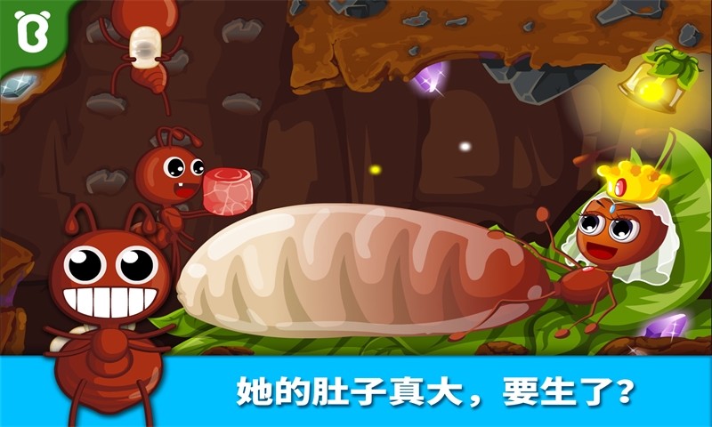宝宝认蚂蚁蚂蚁世界