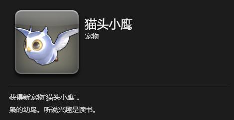 水晶世界猫头小鹰宠物