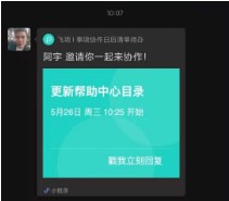 飞项