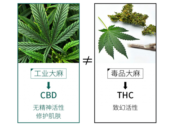 CBD护肤品牌魔力肌源 瞄准新锐成分党以功效打动消费者