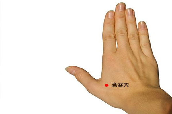 合谷穴艾灸的作用 合谷穴艾灸的好处