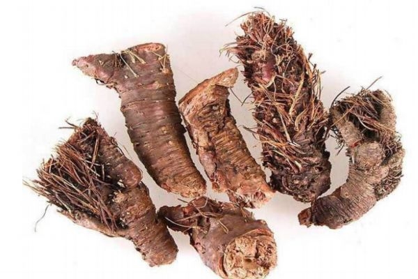 红景天的食用方法有什么 红景天可以怎么食用