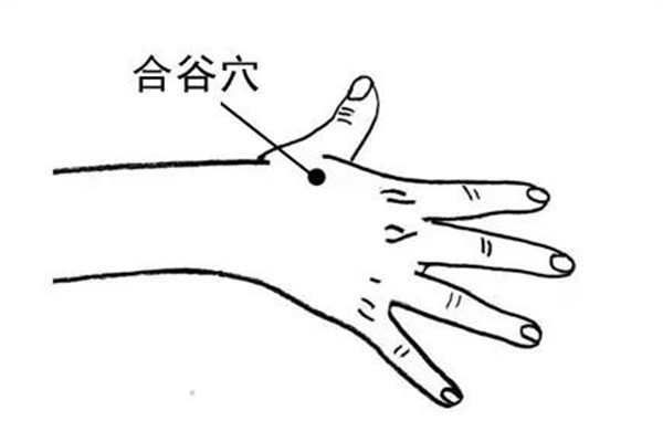 合谷穴能针灸吗 合谷穴针灸的作用