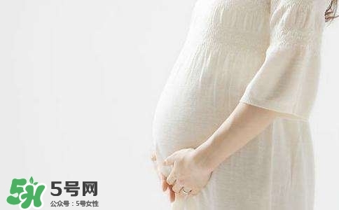 备孕成功经验分享 备孕成功怀孕心得