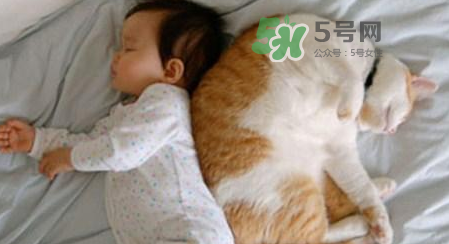 婴儿被猫抓了怎么办？婴儿被猫咪咬了怎么办？