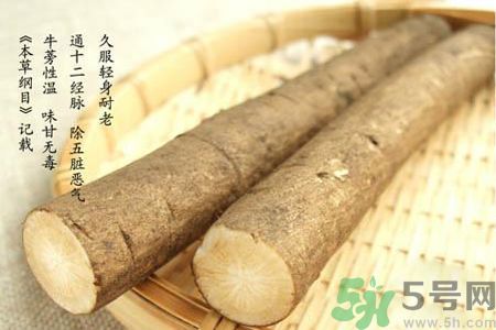 牛蒡怎么吃?吃牛蒡的好处缓解便秘