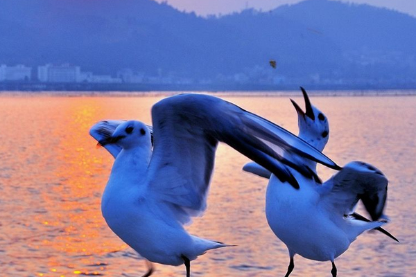 古代最流行的九中养生方法你知道吗?