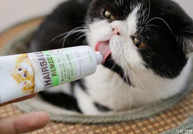 猫营养膏可以天天吃吗 猫用营养膏哪个牌子好