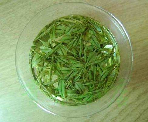 东白春芽产于哪里 东白春芽什么档次