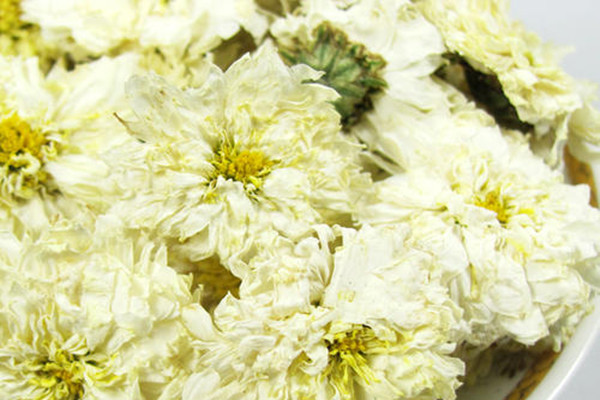 贡菊花怎么选购 贡菊花怎么泡