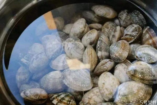 怎么判断花甲死没死 判断花甲死没死的方法