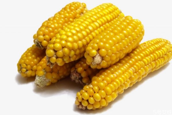 玉米可以减肥吗 玉米有减肥的功效吗