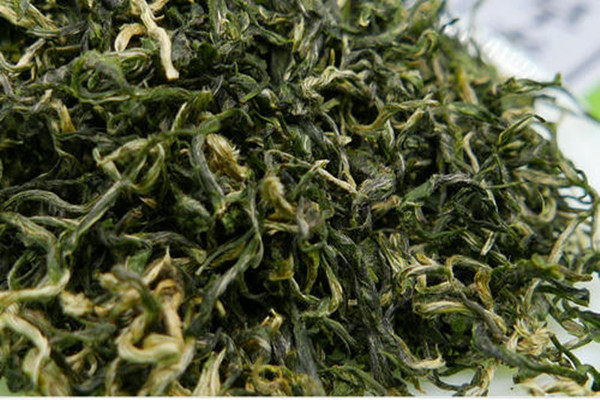 什么人适合喝仁化白毛茶 喝仁化白毛茶的禁忌