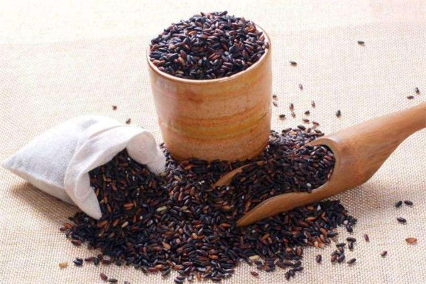 黑糯茶可以长期喝吗 黑糯茶晚上能喝吗