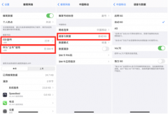 iPhone12如何使用5G iPhone12状态栏中不显示5G怎么办