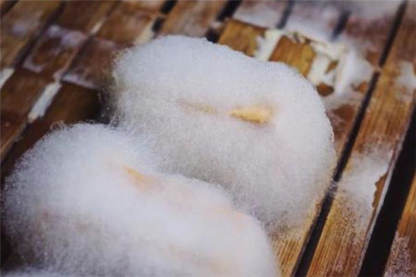 毛豆腐的热量高吗 毛豆腐吃了会胖吗