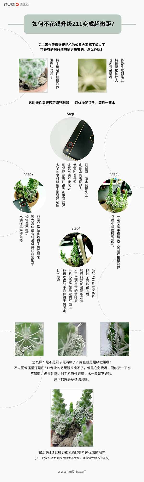 怎么样用nuba Z11黑金版拍摄超级微距照片?