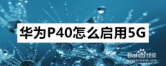 华为P40怎么启用5G？华为P40启用5G教程