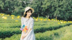 属马和什么属相最配(属马命中注定最佳相配婚姻对象)