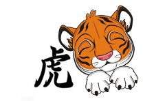 98年属虎的本命年戴什么最好(属虎的终身招财吉祥物)