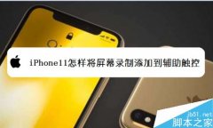 苹果iPhone怎么将屏幕录制添加至控制中心？