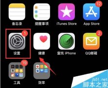 苹果手机Apple ID无法登录怎么办？iPhone无法登录Apple ID的解决方法