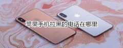 苹果手机查找拉黑电话的方法是什么？